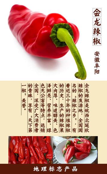 安徽特产香菜 第一名 安徽特色香菜叫什么菜名