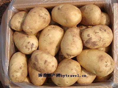 马铃薯是宁夏的特产吗 宁夏海原县家乡的特产马铃薯