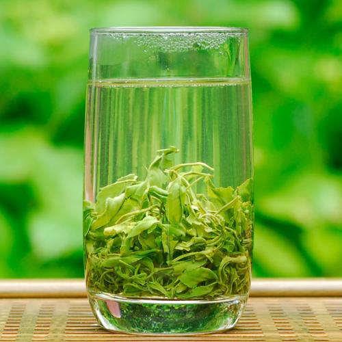 玉山绿茶