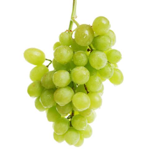 昌黎特产葡萄是什么品种 昌黎最好的葡萄品种
