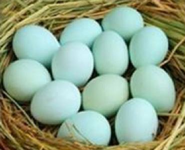 鸡蛋变蛋什么地方特产 河南变蛋是鸡蛋还是鸭蛋