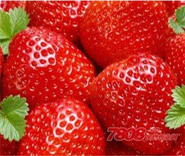 草莓可以做什么特产 草莓能做成多少种好吃的