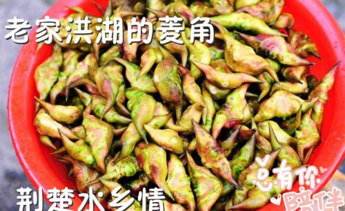 荆州食品特产石首笔架鱼肚 介绍荆州石首饮食文化
