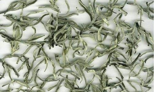 湖北特产的茶叶毛尖是什么品种 湖北毛尖茶叶大全大图
