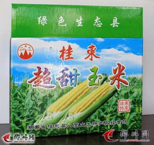 黑龙江特产粘玉米 东北粘玉米哪个牌子好吃