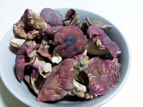拐河孙家特产红菇 红菇是什么特产