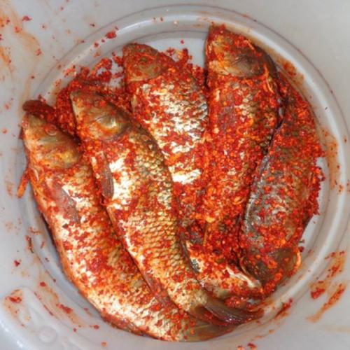 银川特产是锦鲤鱼吗为什么 银川最好的鱼在哪里