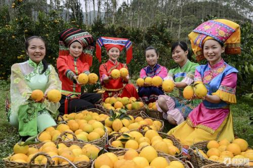 脐橙有什么特产 中国最有名的脐橙在哪里