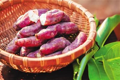 地瓜笋是广东的特产 广东薯笋
