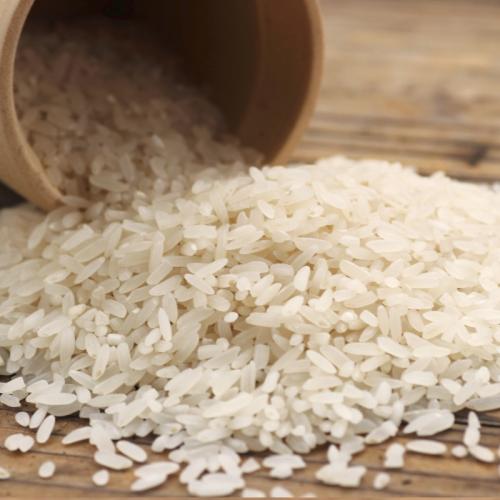 延寿特产大米价格 黑龙江延寿县大米长粒香大米价格