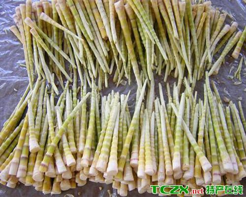 温州竹笋特产有哪些品种 浙江历史悠久竹笋食品