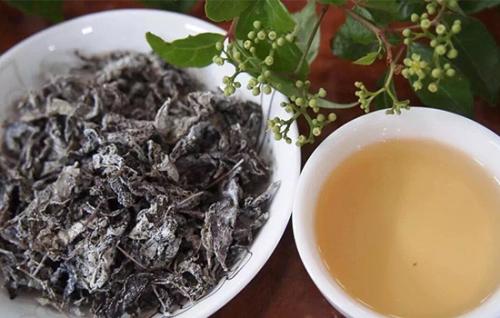 茶陵特产藤茶是什么茶树 英德人的藤茶是什么茶