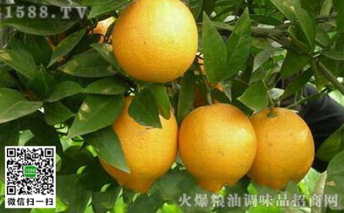 天津市蓟州区特产坚果 蓟县十大特产水果