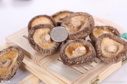 南江香菇