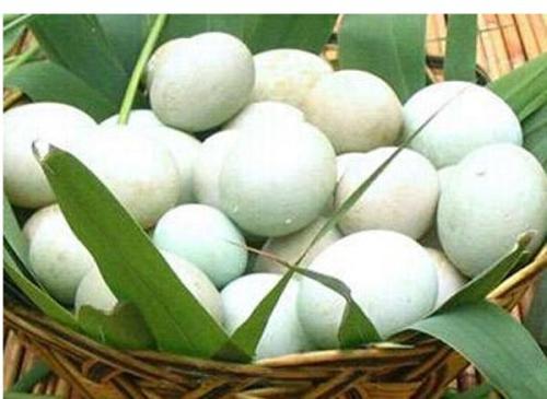 江苏土特产鸭蛋 中国哪里有土鸭蛋