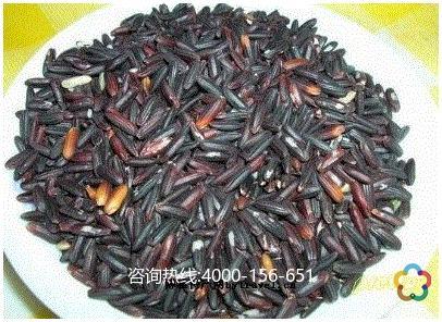 贵州威宁特产糯米粑粑 贵州威宁糯米粑粑家常做法