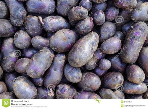 紫金黄塘特产介绍 广东紫金特产有哪些东西