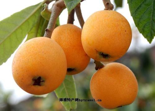 安徽水果特产枇杷 