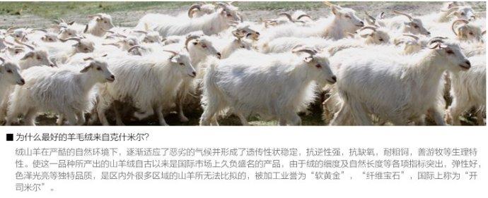 桂林羊绒皮革名特产 桂林特产十大品牌