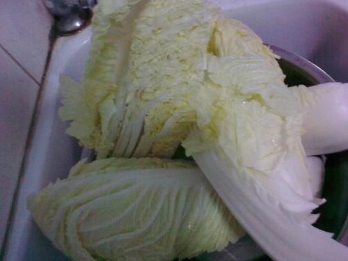 苏州特产小白菜 什么是苏州小青菜