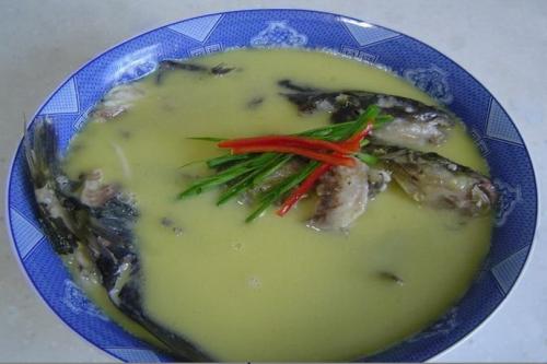 郑州鲤鱼黄河特产 郑州黄河大鲤鱼哪个地方比较好吃