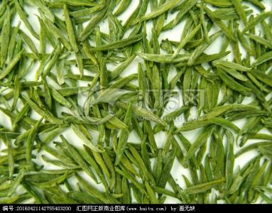 白沙绿茶的特产 白沙绿茶最好喝的款