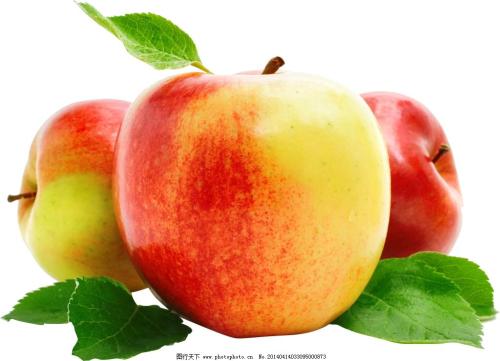 富士苹果是哪里的特产水果呢 什么地方产的富士苹果甜度高