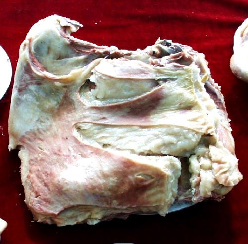 蒙古特产牛头肉 牛头肉的害处