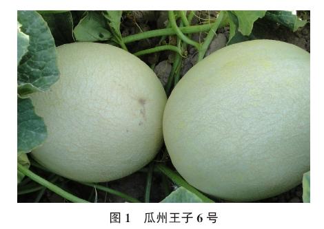 贵州福泉县特产 贵州福泉有哪些土特产