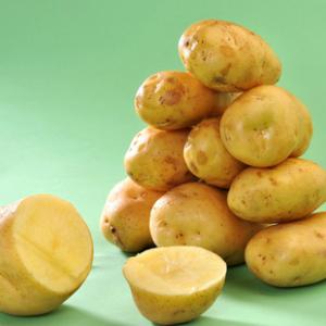 张家口马铃薯特产 张家口土豆和云南土豆的区别