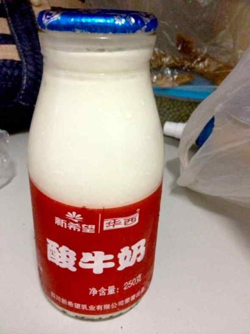 洛阳好吃的特产白马寺酸奶 正宗洛阳酸奶配方