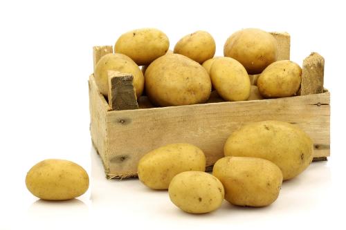 化州特产马铃薯做的 小吃土豆很多人吃吗