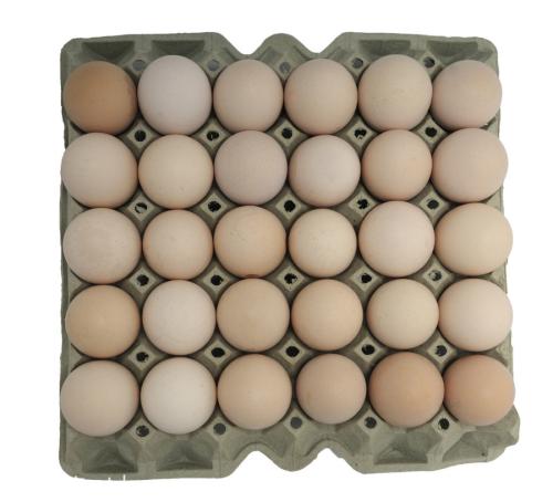 毛鸡蛋哪个地方的特产 毛鸡蛋起源哪里