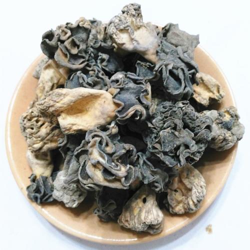 理县特产蘑菇种类 河南栾川县可食用的蘑菇