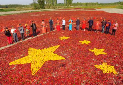 新疆特产特级椰枣500g五厘米 正宗新疆黑椰枣今年新货