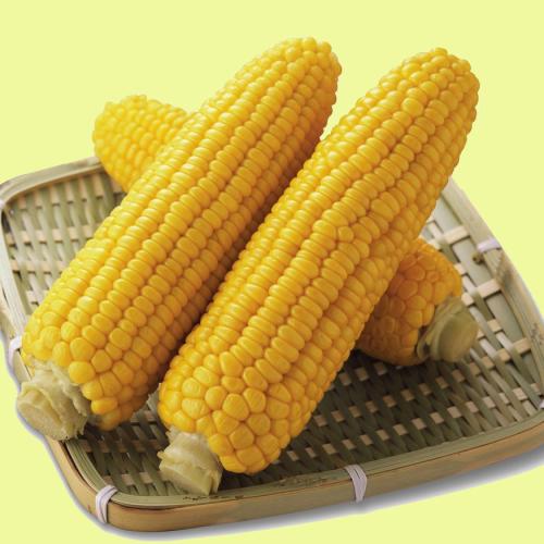 玉米是美国特产 玉米是美国特产吗