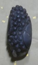 像葡萄一样的云南特产 云南特产蓝莓葡萄