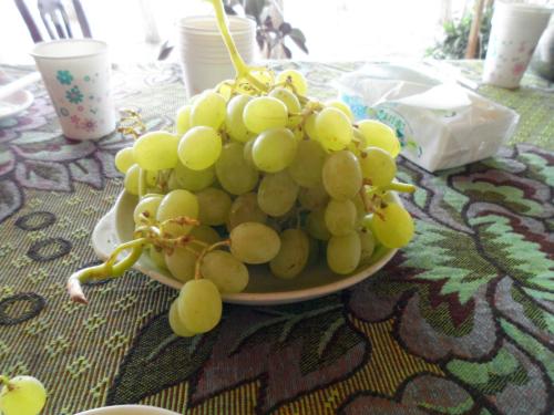 喀什的水果有哪些特产 喀什有什么便于带走的特产水果