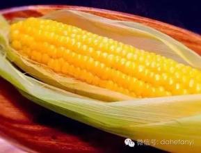 钟小弟土特产玉米 家乡特产玉米的介绍
