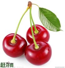 山东临朐特产樱桃几月成熟 临朐大樱桃简介