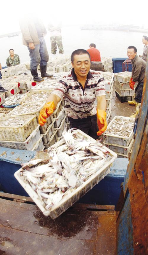 小妹海鲜特产带鱼 宁波海鲜特产带鱼