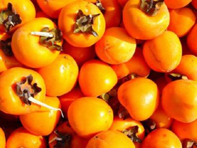 东峪特产花椒柿子多少钱一斤 河南柿子熟了多少钱一斤