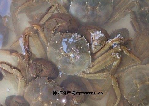青岛特产小螃蟹怎么吃 青岛海边小螃蟹怎么吃
