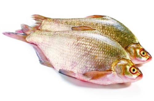 湖北鄂州特产鱼 鄂州最出名的鱼