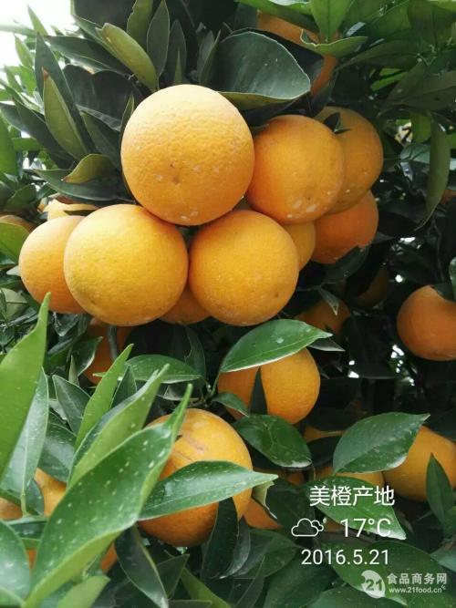 湛江红橙的特产 湛江红橙的正宗做法