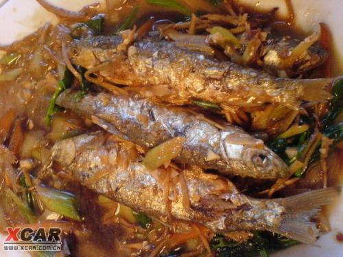 天津汉沽特产海鱼 天津汉沽都产哪些鱼