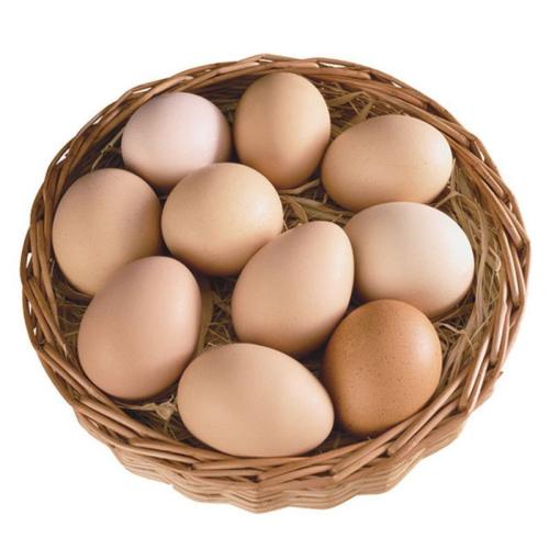 农家土特产之鸡蛋 各地家乡特产鸡蛋