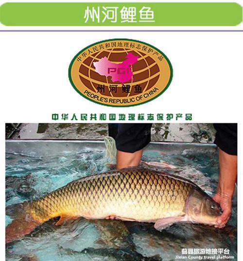 萍乡特产是锦鲤鱼吗 萍乡最有名的鱼