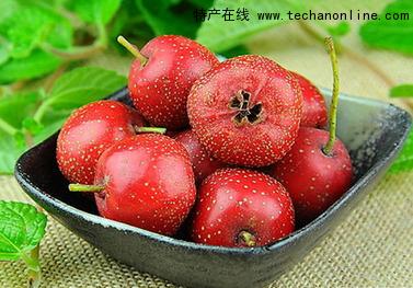 红果特产是什么 北京红果的主要产地是