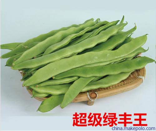 黄山生态特产干豆角 